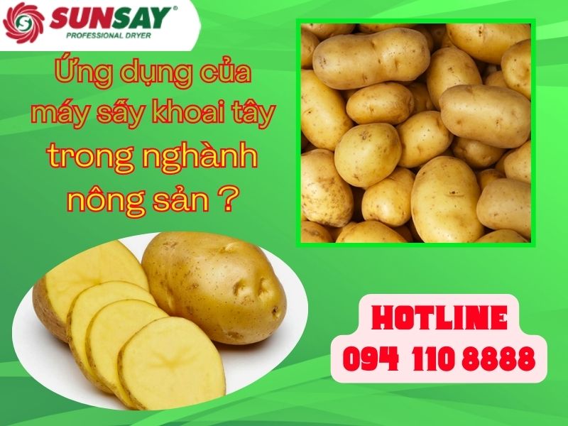 Ứng dụng của máy sấy khoai tây