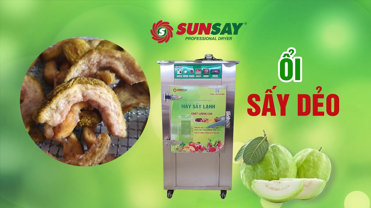 Máy sấy ổi