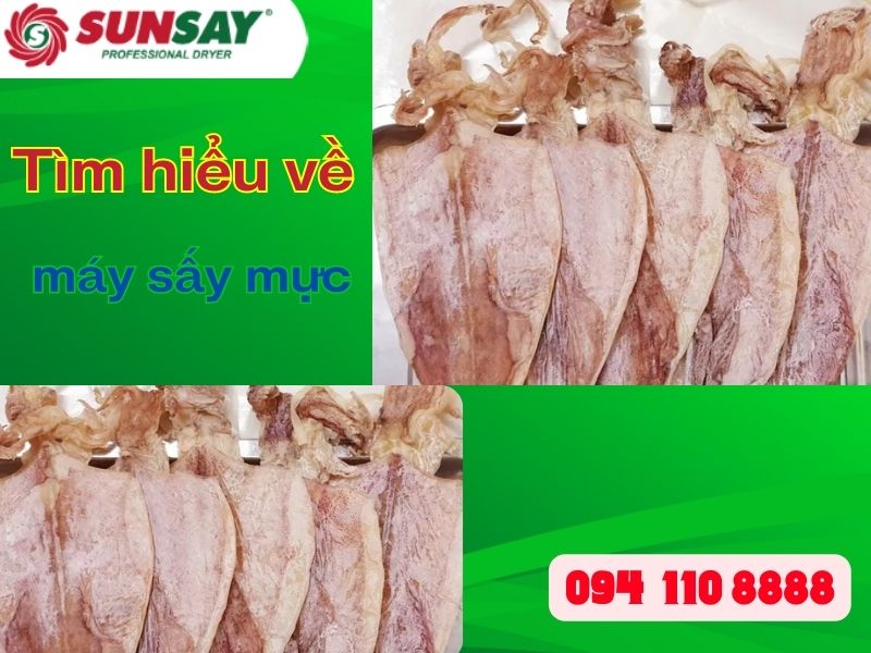 máy sấy mực